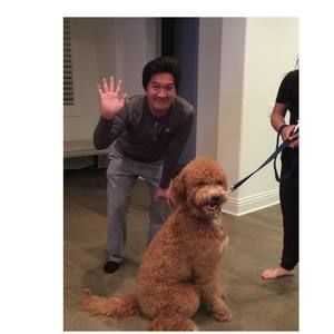 Meet your Posher, Matthew